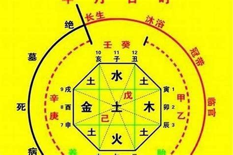 2024出生八字|生辰八字算命、五行喜用神查询（免费测算）